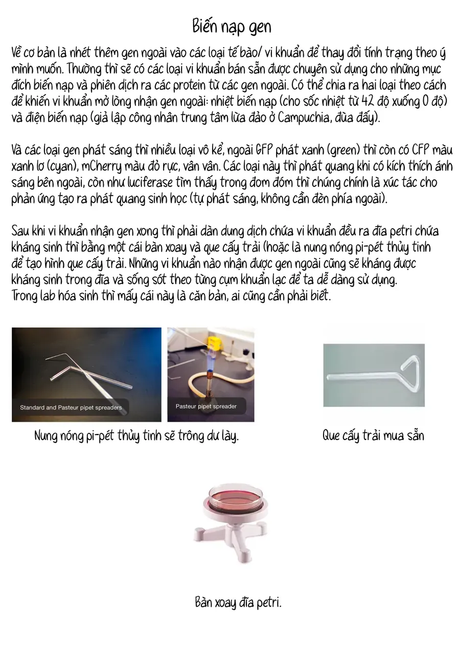 Lalalab☆ ~Gal To Kagaku To Seishun To!~ Chapter 10 - Trang 10