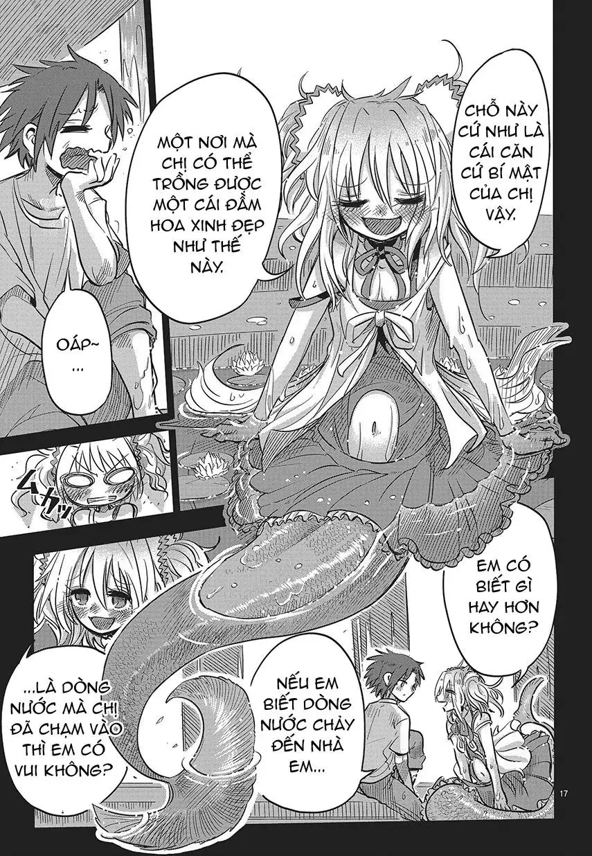 Lẵng Hoa Của Nàng Tiên Cá Chapter 1 - Trang 16