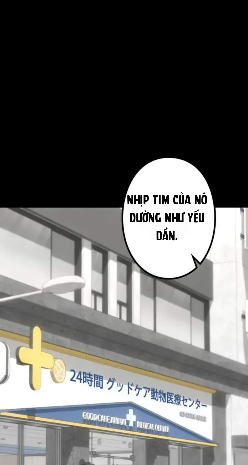Lắng Nghe Ký Ức: Người Dọn Dẹp Di Vật Chapter 14 - Trang 20