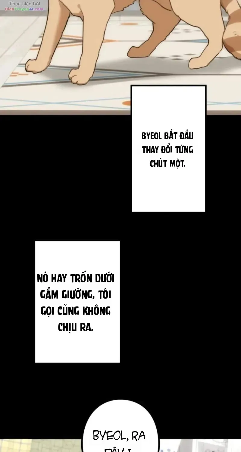 Lắng Nghe Ký Ức: Người Dọn Dẹp Di Vật Chapter 14 - Trang 6