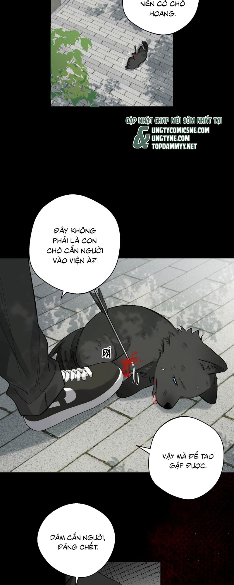 Lang Quân Muốn Chịu Trách Nhiệm Với Tôi Chapter 15 - Trang 14
