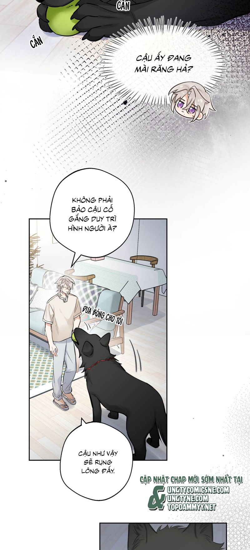 Lang Quân Muốn Chịu Trách Nhiệm Với Tôi Chapter 18 - Trang 11