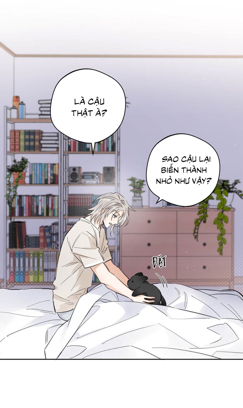 Lang Quân Muốn Chịu Trách Nhiệm Với Tôi Chapter 21 - Trang 14