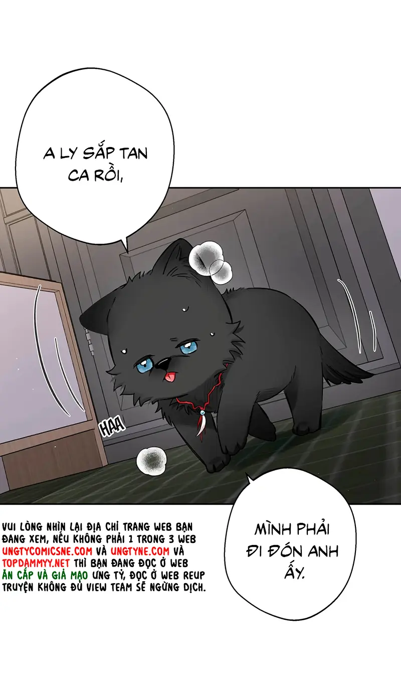 Lang Quân Muốn Chịu Trách Nhiệm Với Tôi Chapter 22 - Trang 19