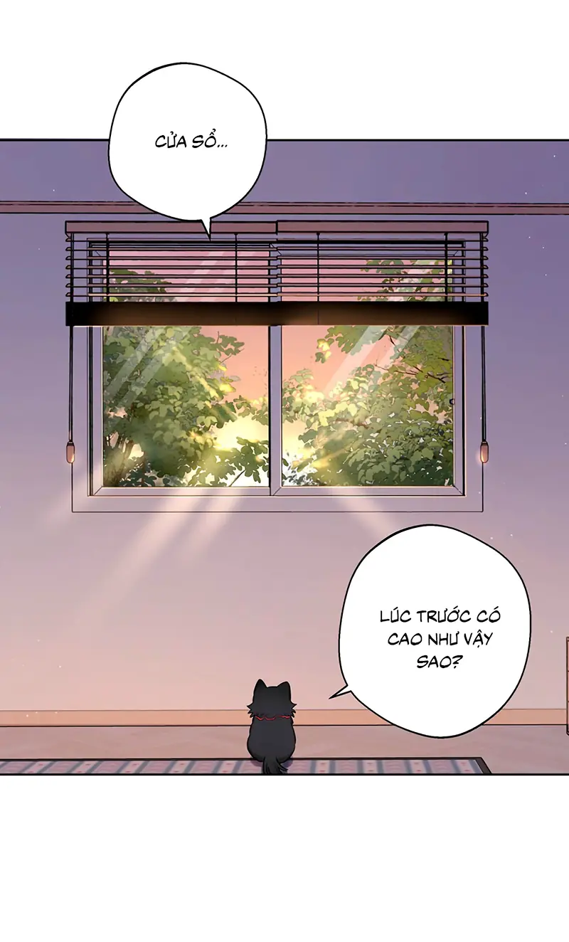 Lang Quân Muốn Chịu Trách Nhiệm Với Tôi Chapter 22 - Trang 20