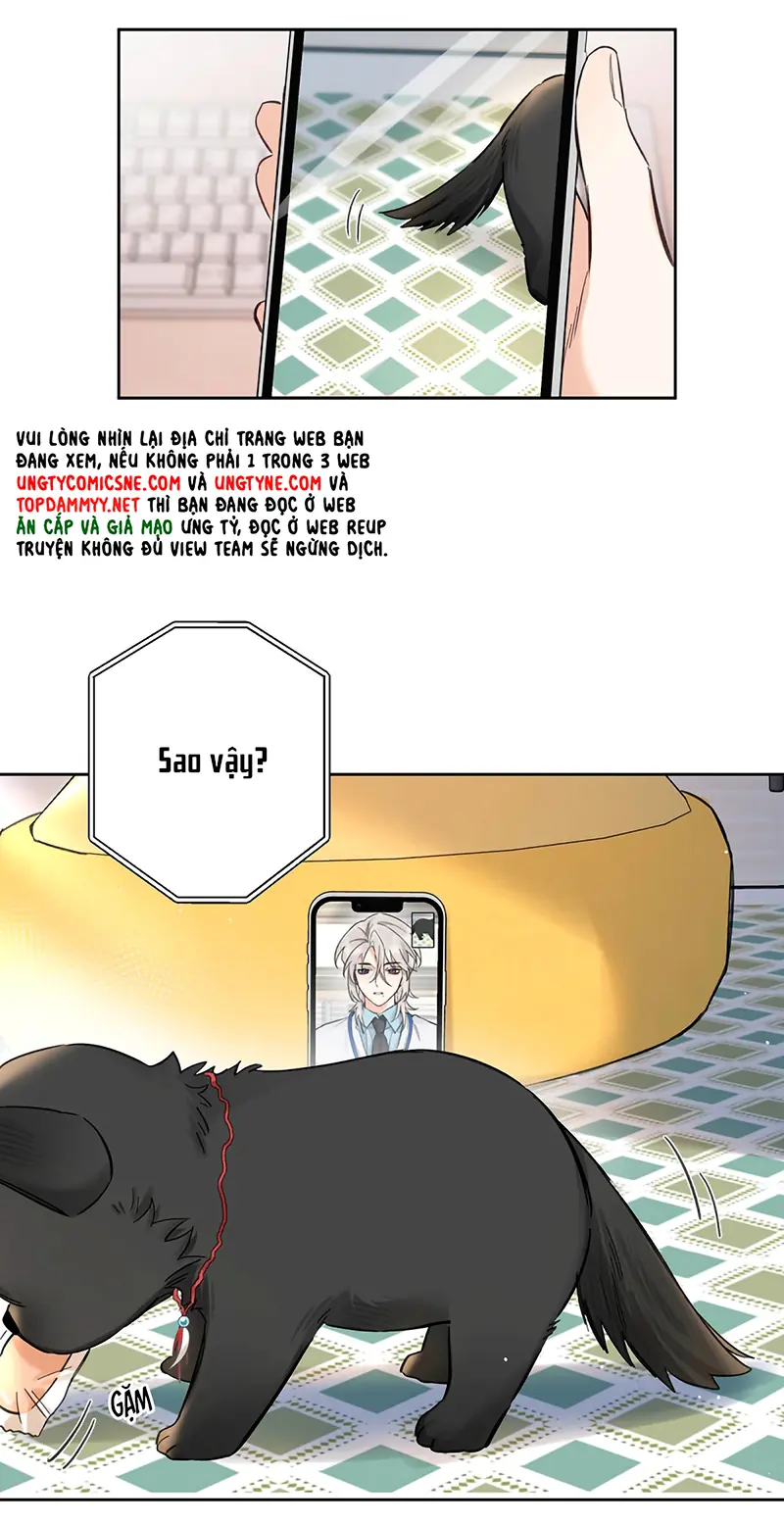 Lang Quân Muốn Chịu Trách Nhiệm Với Tôi Chapter 22 - Trang 5