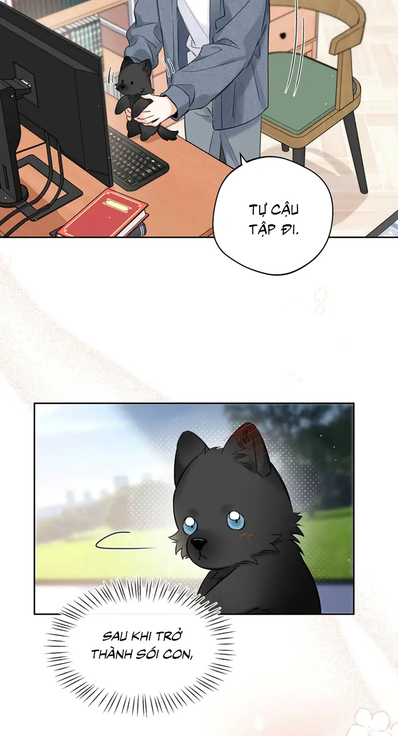 Lang Quân Muốn Chịu Trách Nhiệm Với Tôi Chapter 24 - Trang 21