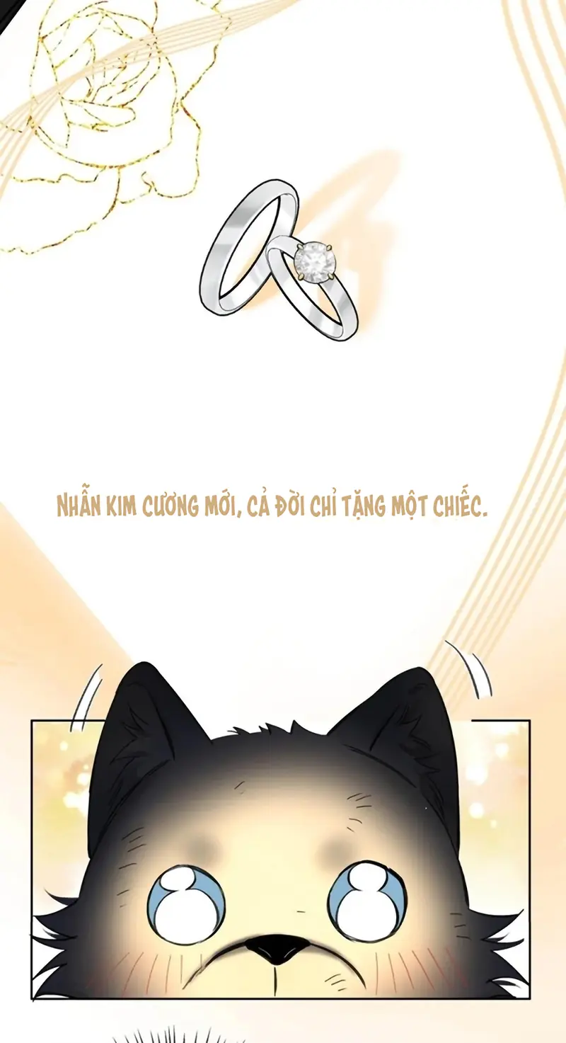 Lang Quân Muốn Chịu Trách Nhiệm Với Tôi Chapter 26 - Trang 37