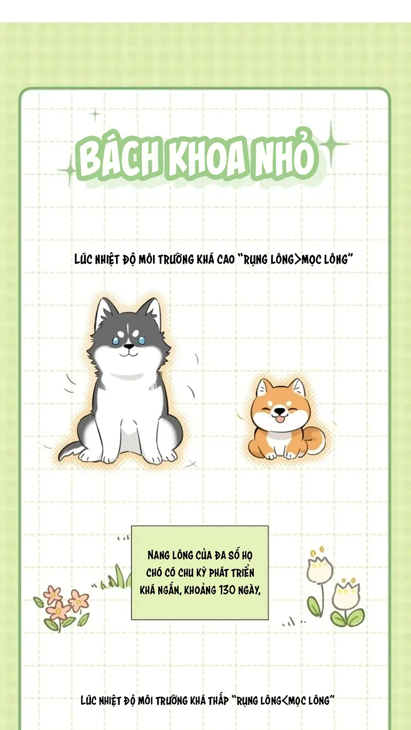 Lang Quân Muốn Chịu Trách Nhiệm Với Tôi Chapter 28 - Trang 10