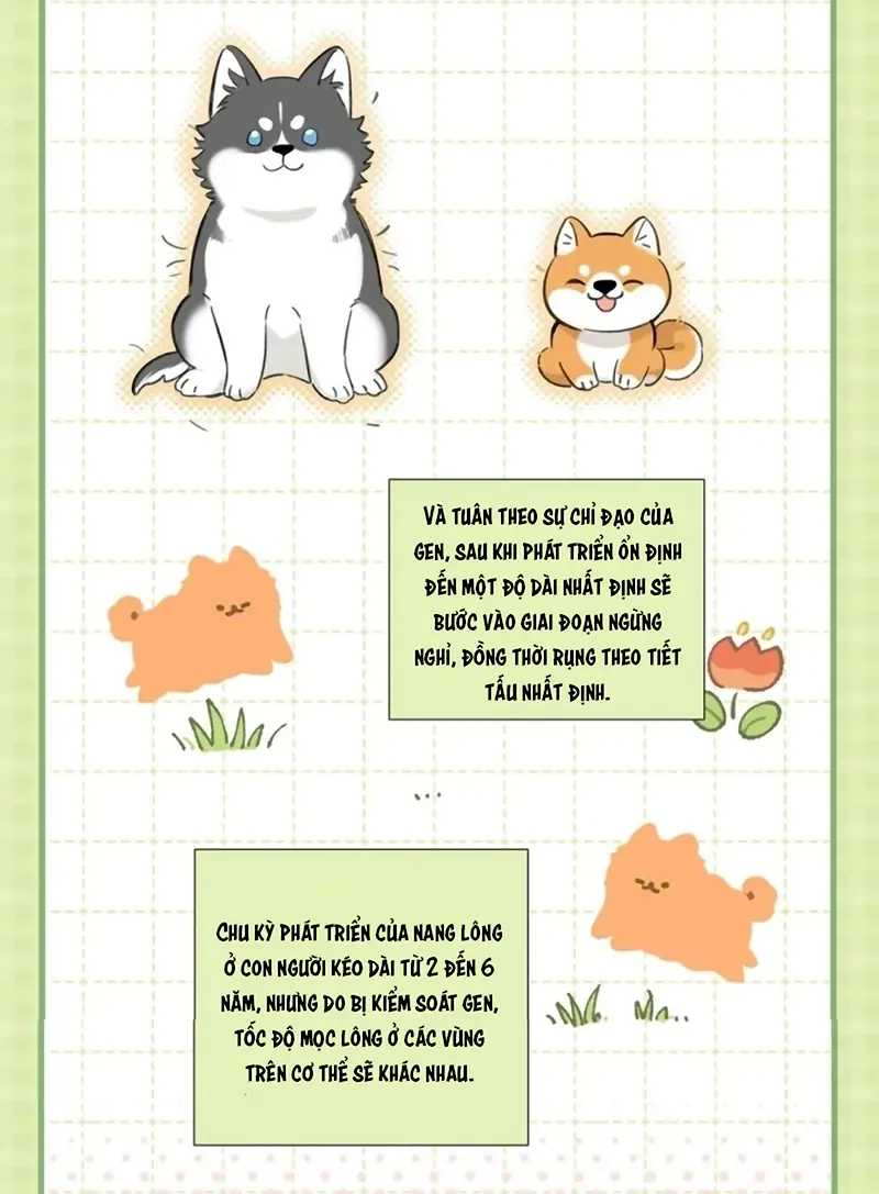 Lang Quân Muốn Chịu Trách Nhiệm Với Tôi Chapter 28 - Trang 11