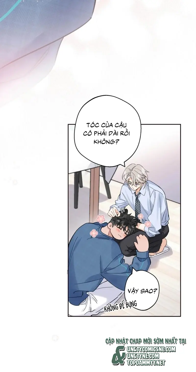 Lang Quân Muốn Chịu Trách Nhiệm Với Tôi Chapter 28 - Trang 8