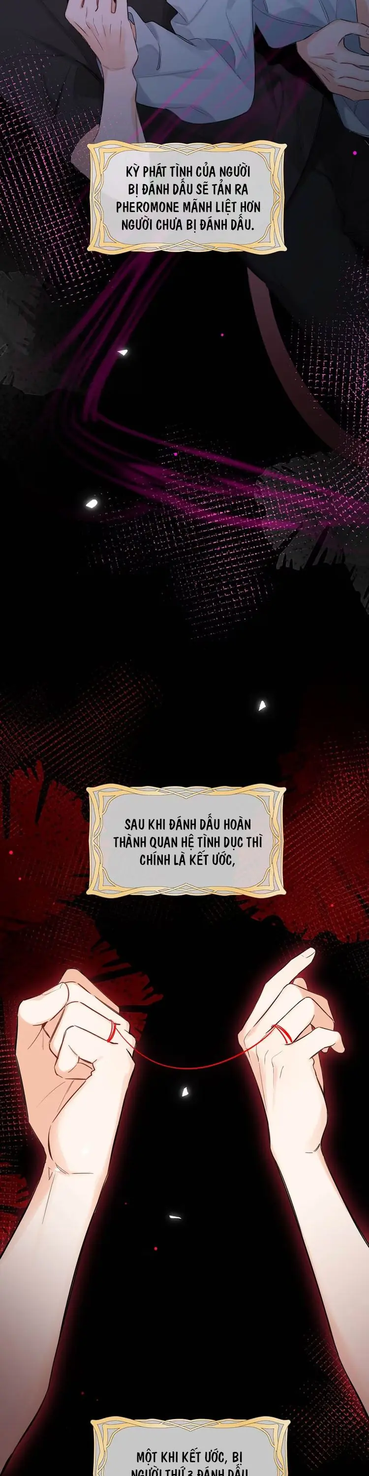 Lang Quân Muốn Chịu Trách Nhiệm Với Tôi Chapter 3 - Trang 4