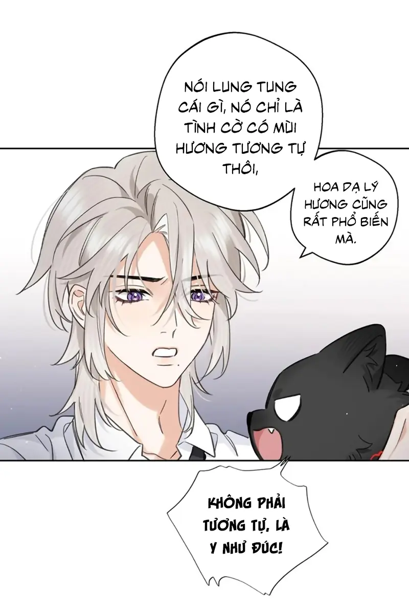 Lang Quân Muốn Chịu Trách Nhiệm Với Tôi Chapter 33 - Trang 19