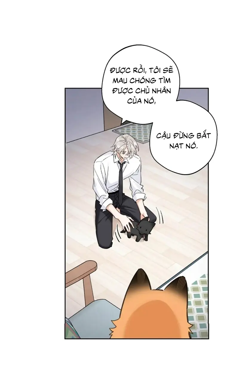 Lang Quân Muốn Chịu Trách Nhiệm Với Tôi Chapter 33 - Trang 21