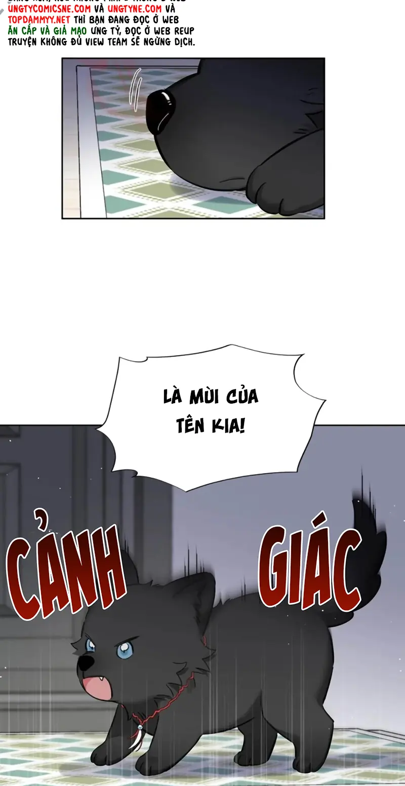 Lang Quân Muốn Chịu Trách Nhiệm Với Tôi Chapter 33 - Trang 7
