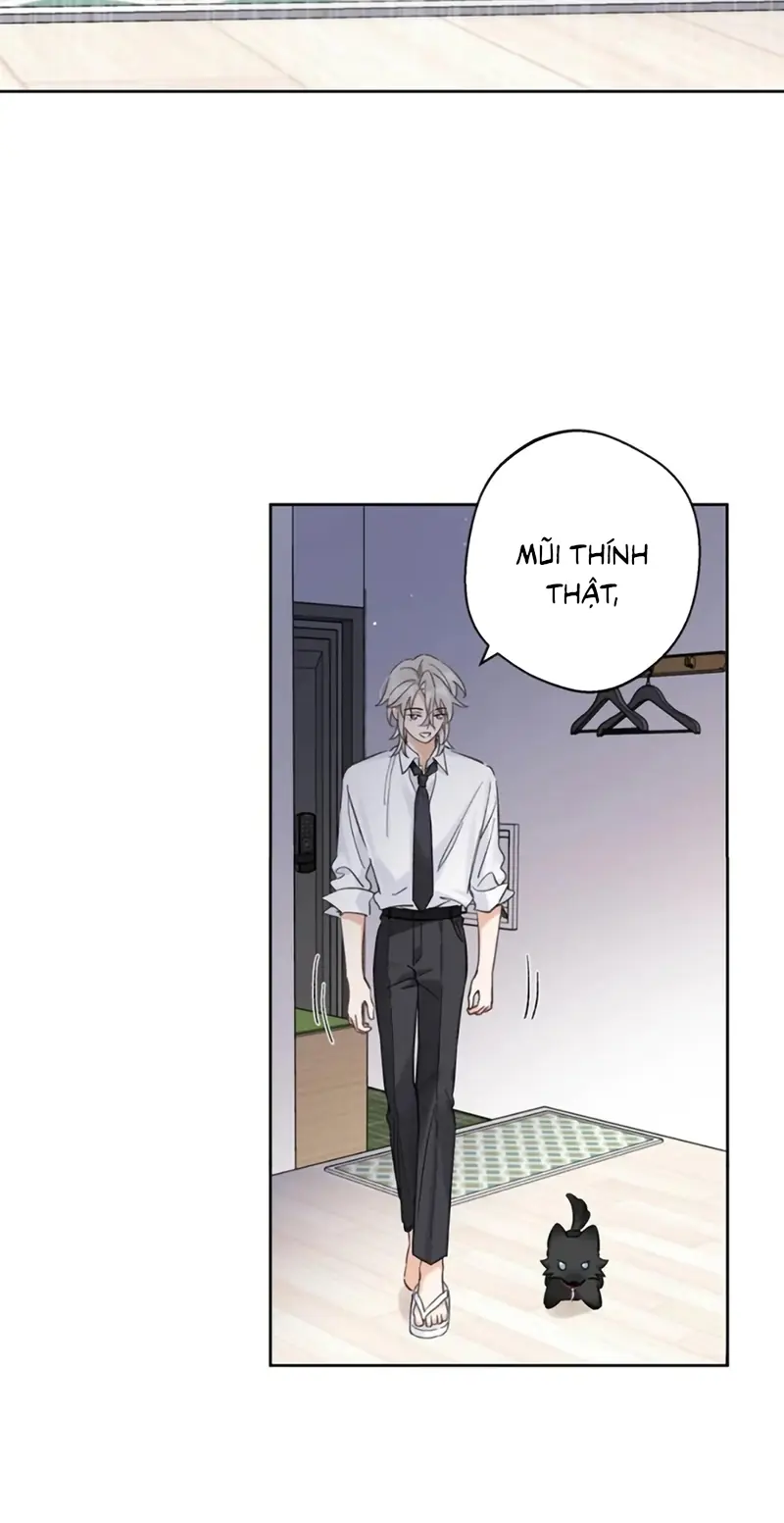 Lang Quân Muốn Chịu Trách Nhiệm Với Tôi Chapter 33 - Trang 8