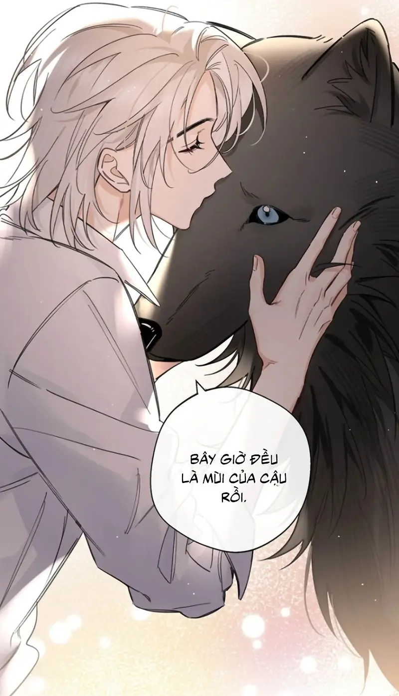Lang Quân Muốn Chịu Trách Nhiệm Với Tôi Chapter 34 - Trang 13