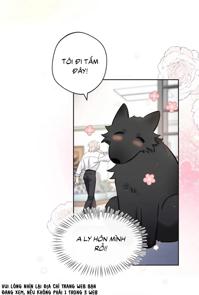 Lang Quân Muốn Chịu Trách Nhiệm Với Tôi Chapter 34 - Trang 17