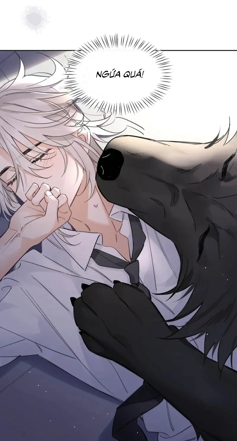 Lang Quân Muốn Chịu Trách Nhiệm Với Tôi Chapter 34 - Trang 6