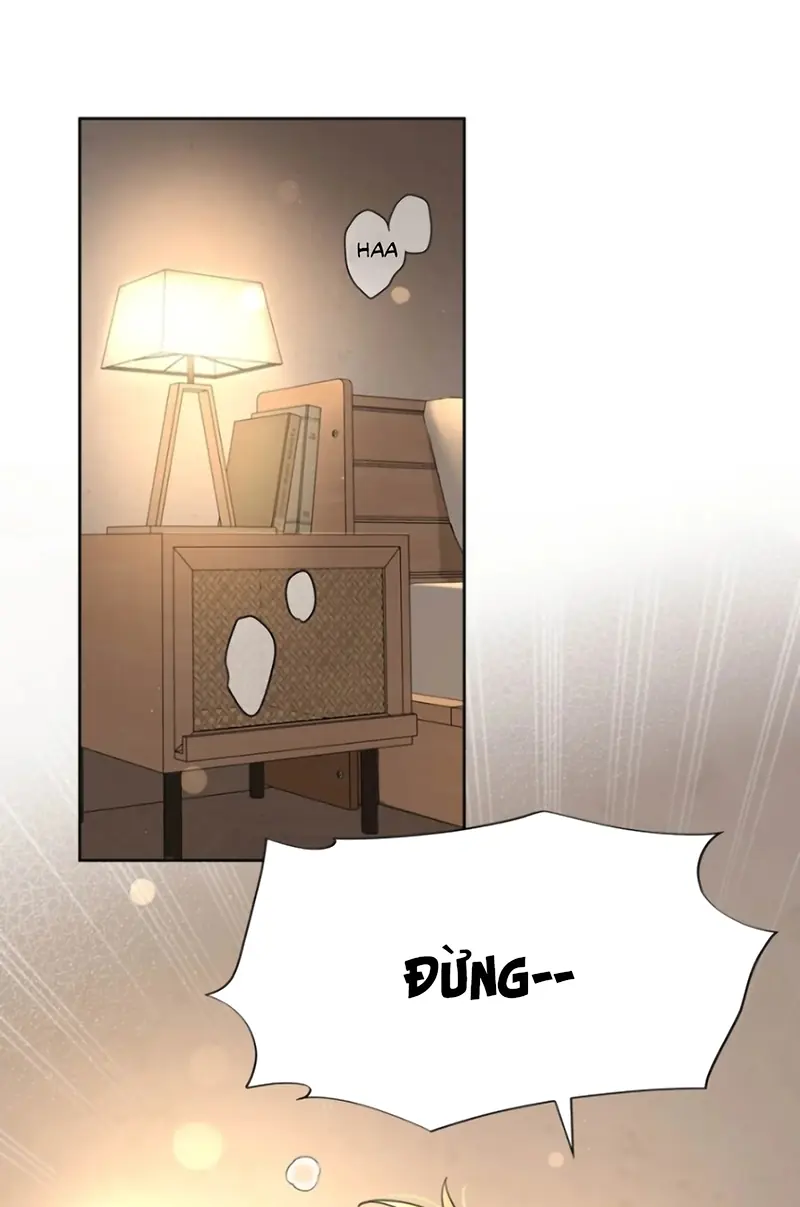 Lang Quân Muốn Chịu Trách Nhiệm Với Tôi Chapter 35 - Trang 5