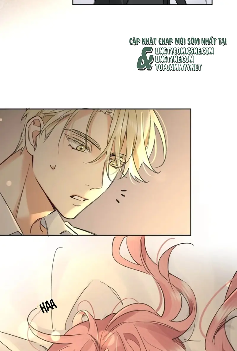 Lang Quân Muốn Chịu Trách Nhiệm Với Tôi Chapter 35 - Trang 7