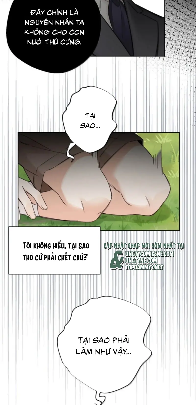 Lang Quân Muốn Chịu Trách Nhiệm Với Tôi Chapter 39 - Trang 12