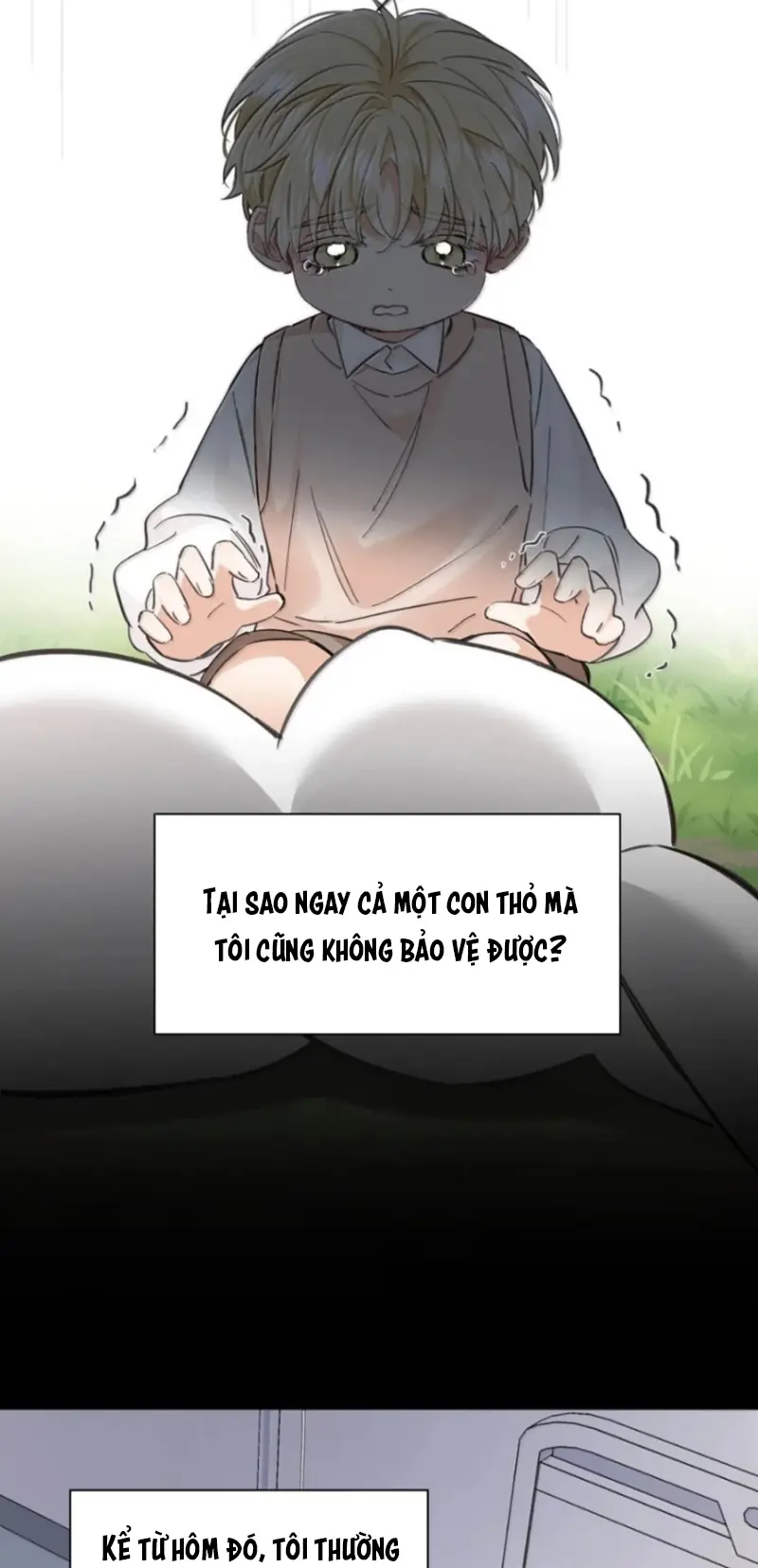 Lang Quân Muốn Chịu Trách Nhiệm Với Tôi Chapter 39 - Trang 13