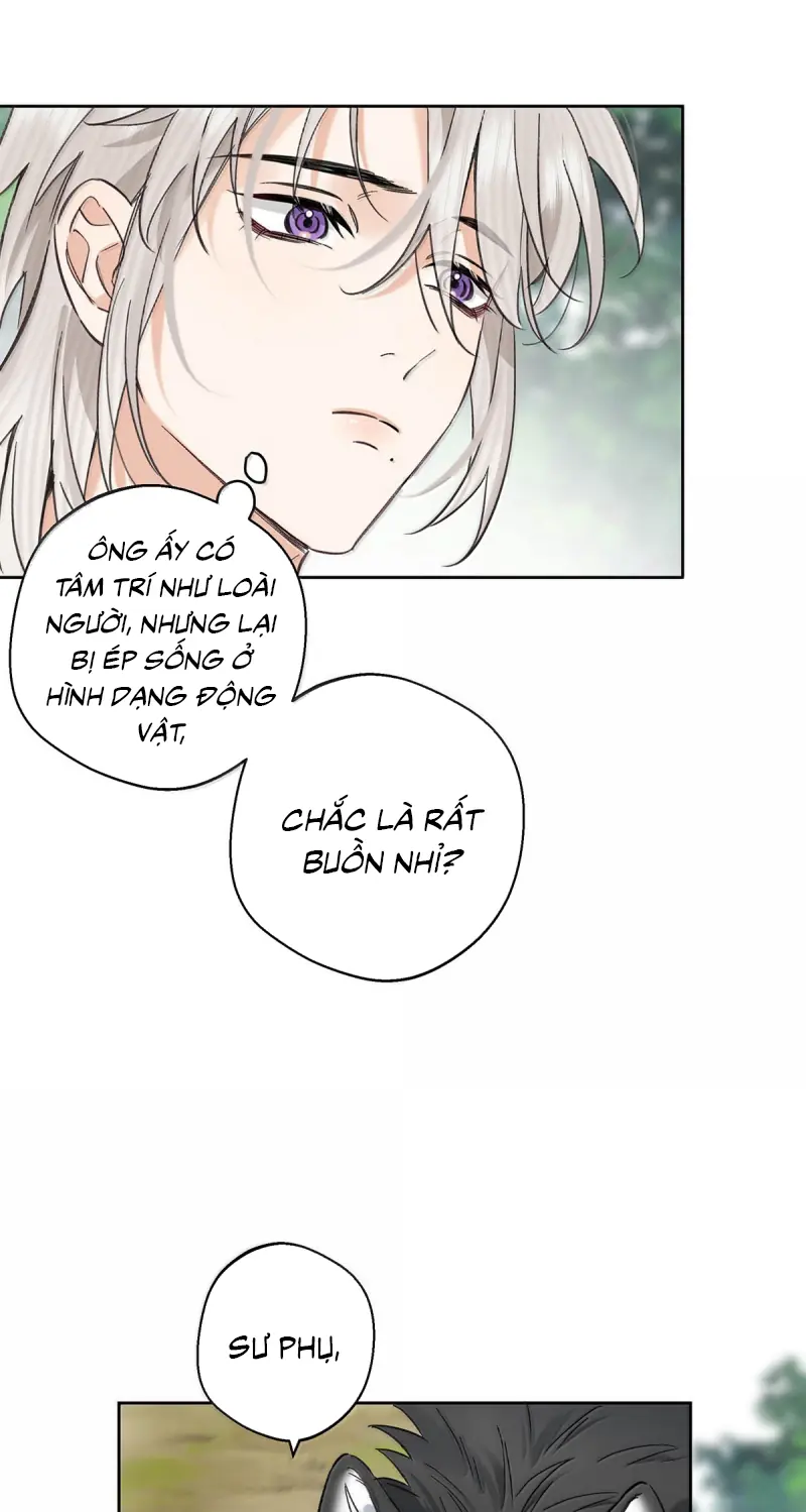 Lang Quân Muốn Chịu Trách Nhiệm Với Tôi Chapter 42 - Trang 13