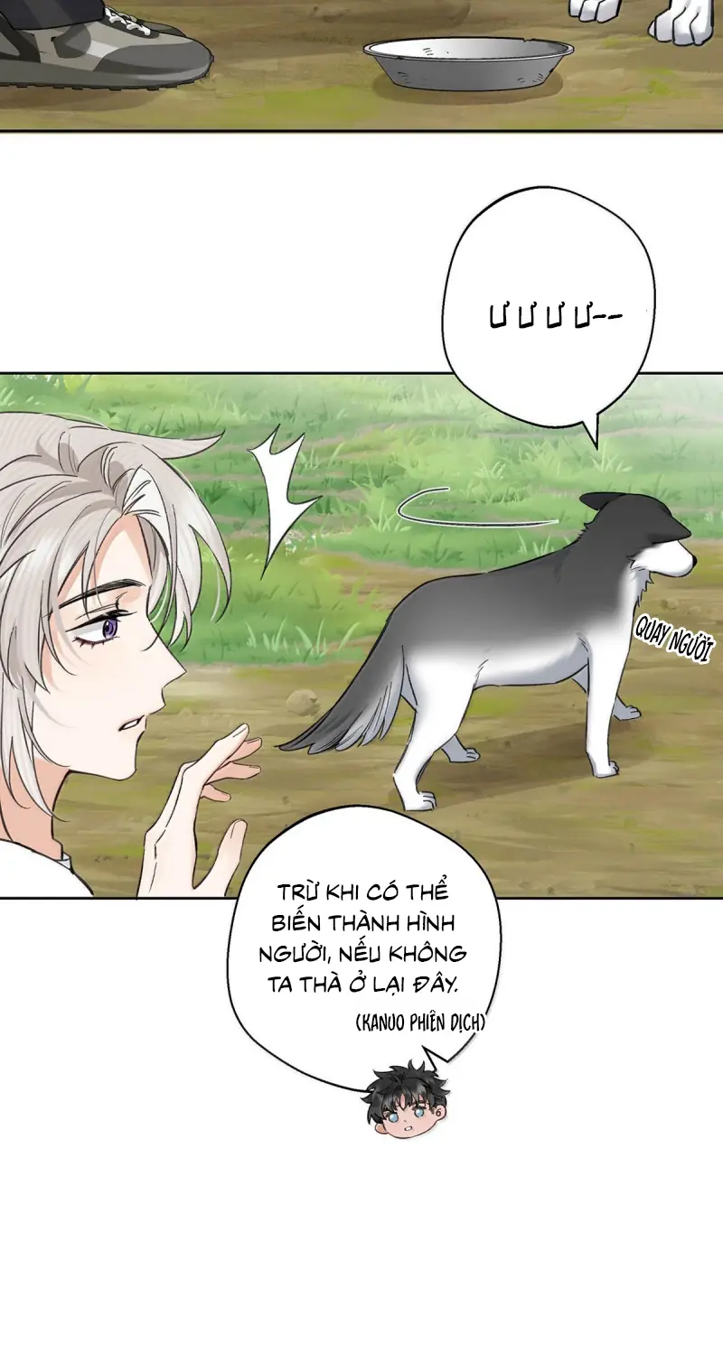 Lang Quân Muốn Chịu Trách Nhiệm Với Tôi Chapter 42 - Trang 15