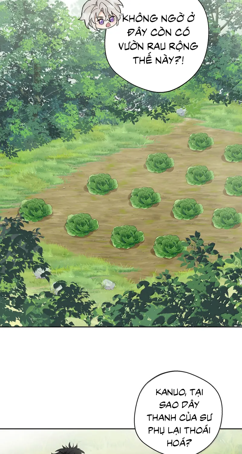 Lang Quân Muốn Chịu Trách Nhiệm Với Tôi Chapter 42 - Trang 5