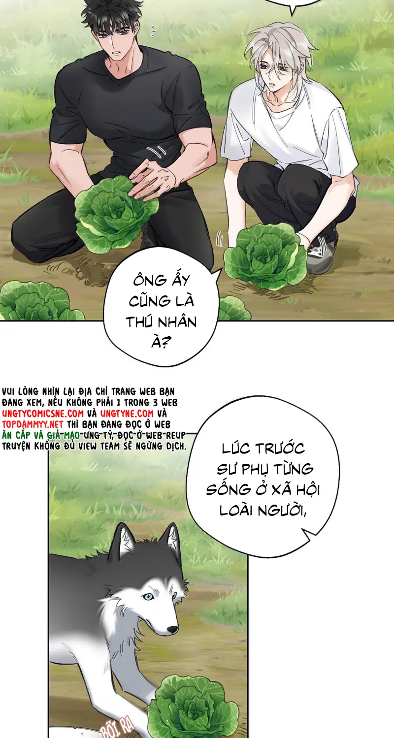 Lang Quân Muốn Chịu Trách Nhiệm Với Tôi Chapter 42 - Trang 6