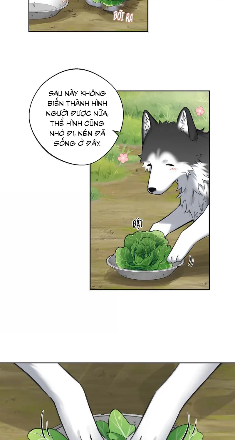 Lang Quân Muốn Chịu Trách Nhiệm Với Tôi Chapter 42 - Trang 7