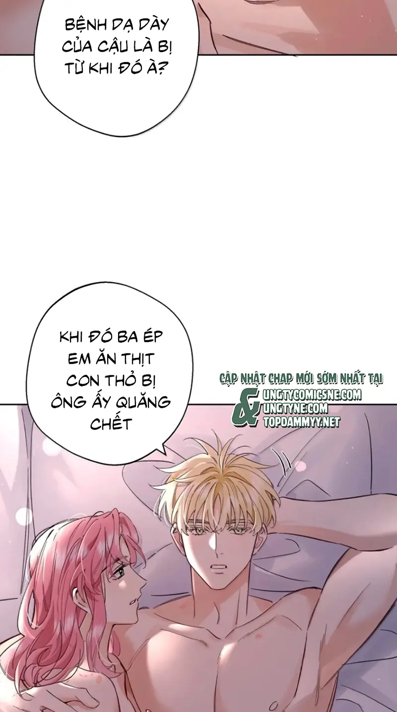 Lang Quân Muốn Chịu Trách Nhiệm Với Tôi Chapter 43 - Trang 10
