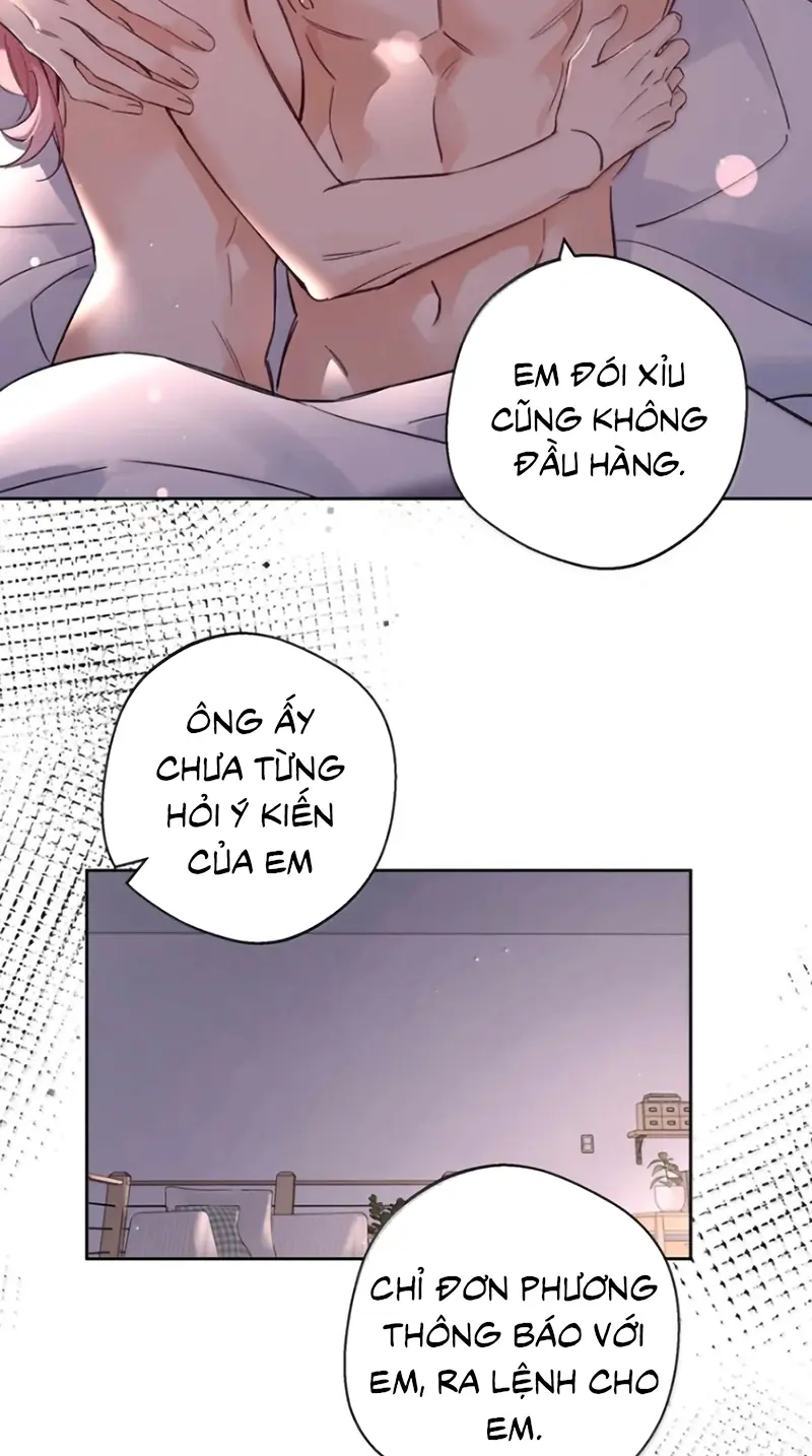Lang Quân Muốn Chịu Trách Nhiệm Với Tôi Chapter 43 - Trang 11
