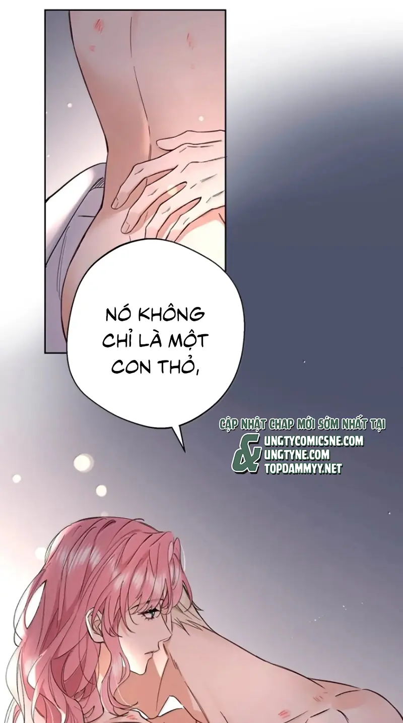 Lang Quân Muốn Chịu Trách Nhiệm Với Tôi Chapter 43 - Trang 5