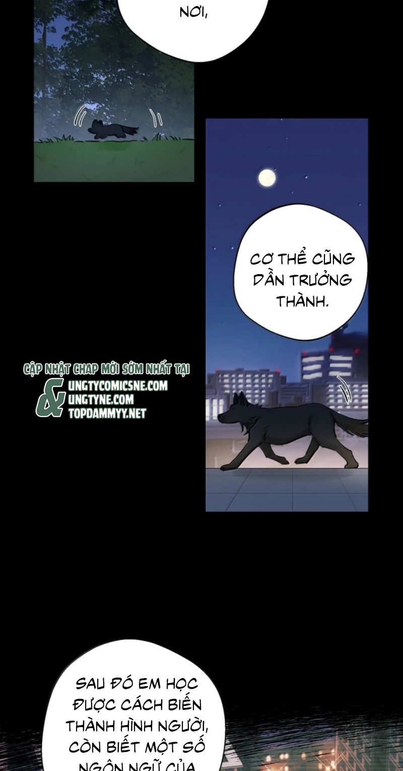 Lang Quân Muốn Chịu Trách Nhiệm Với Tôi Chapter 45 - Trang 22