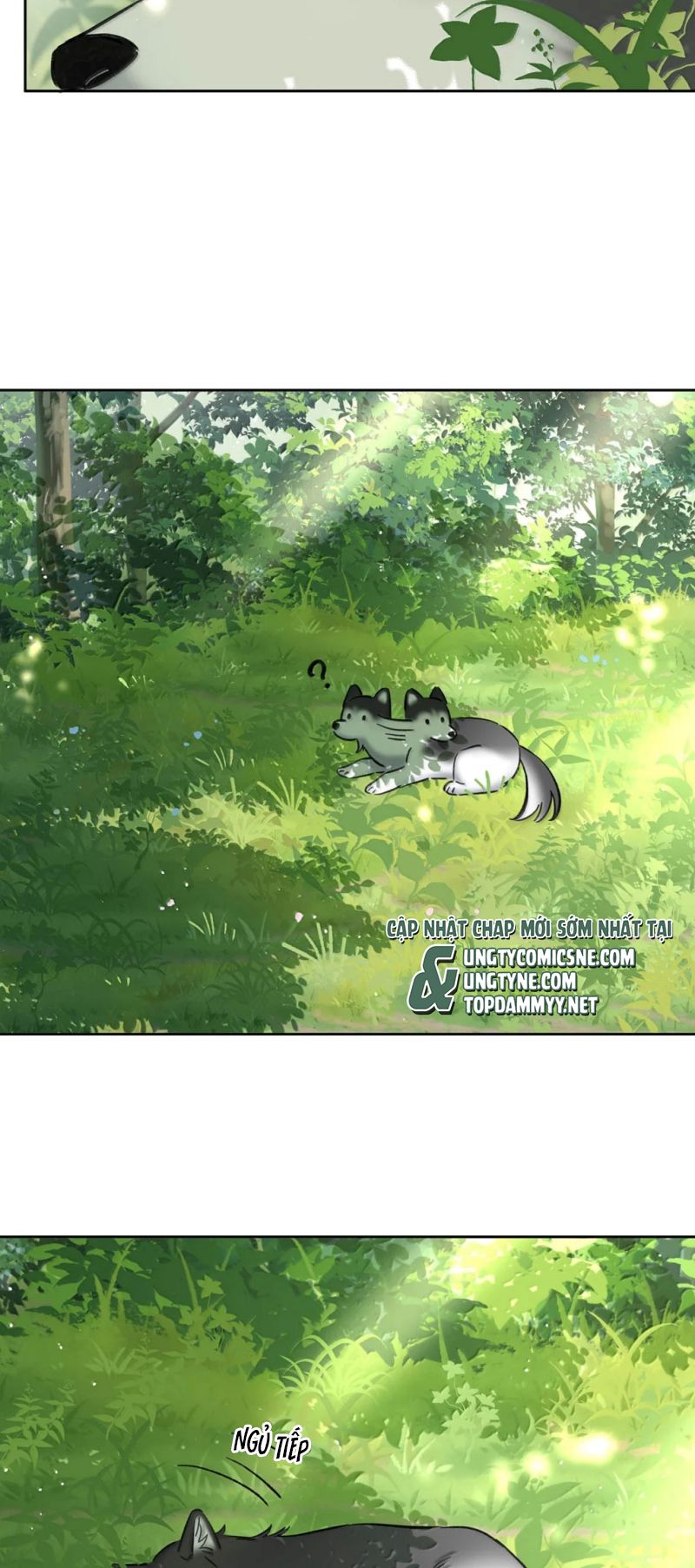 Lang Quân Muốn Chịu Trách Nhiệm Với Tôi Chapter 47 - Trang 22