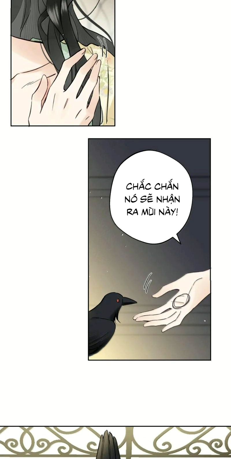 Lang Quân Muốn Chịu Trách Nhiệm Với Tôi Chapter 48 - Trang 19