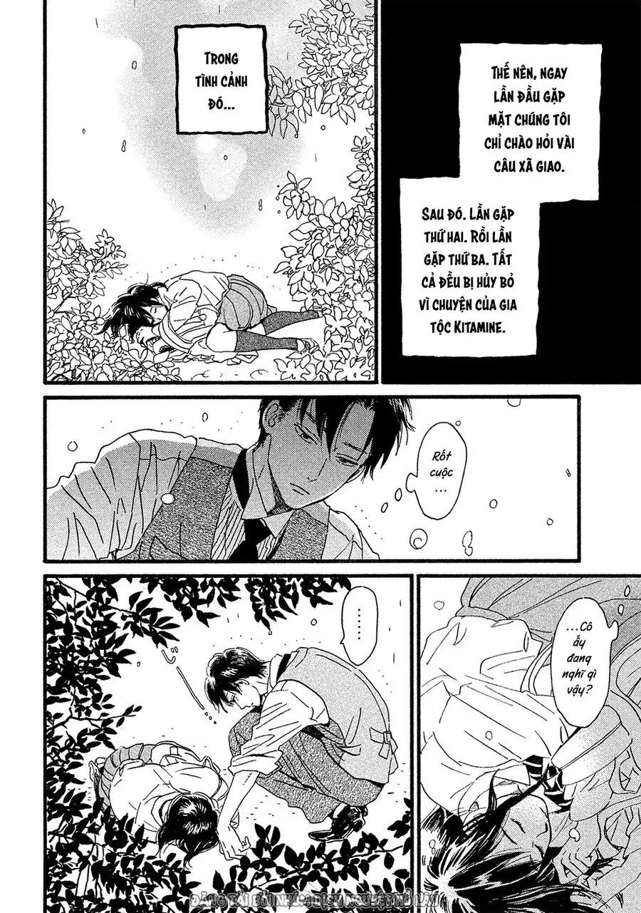 Lệ Vũ Và Khúc Tình Ca Chapter 3 - Trang 17