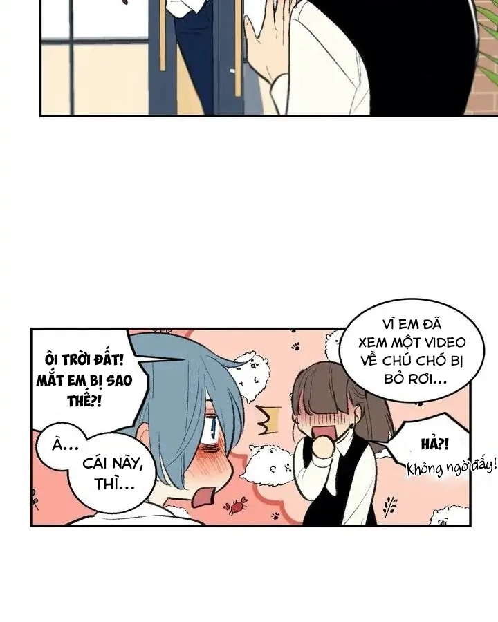 Liên Minh Bí Mật Chapter 30 - Trang 29