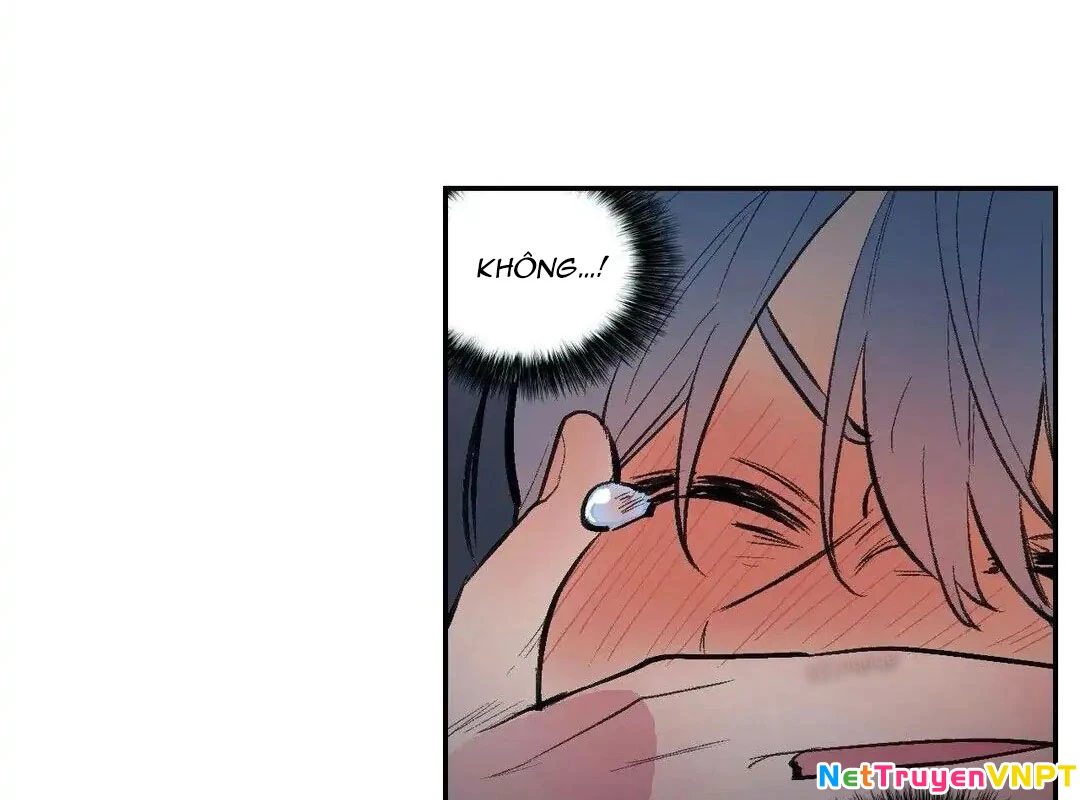 Liên Minh Bí Mật Chapter 36 - Trang 15