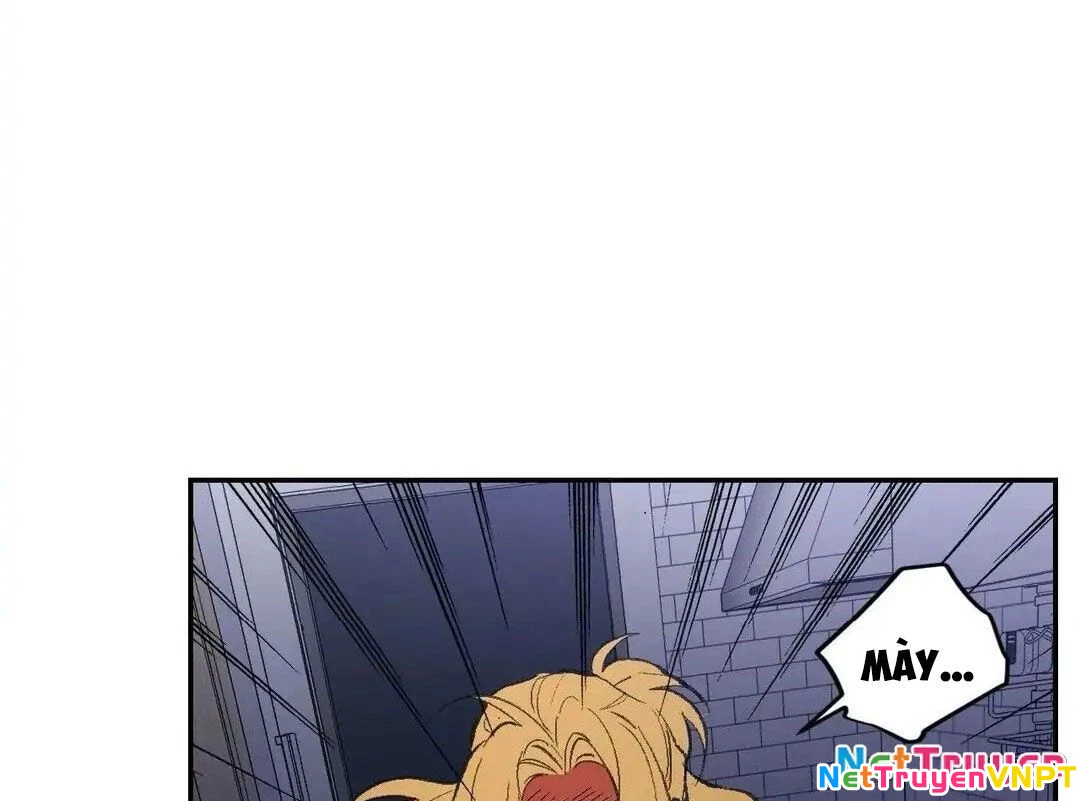 Liên Minh Bí Mật Chapter 36 - Trang 37
