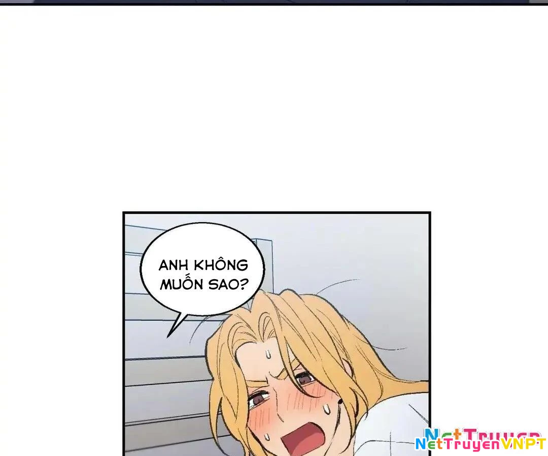 Liên Minh Bí Mật Chapter 39 - Trang 12