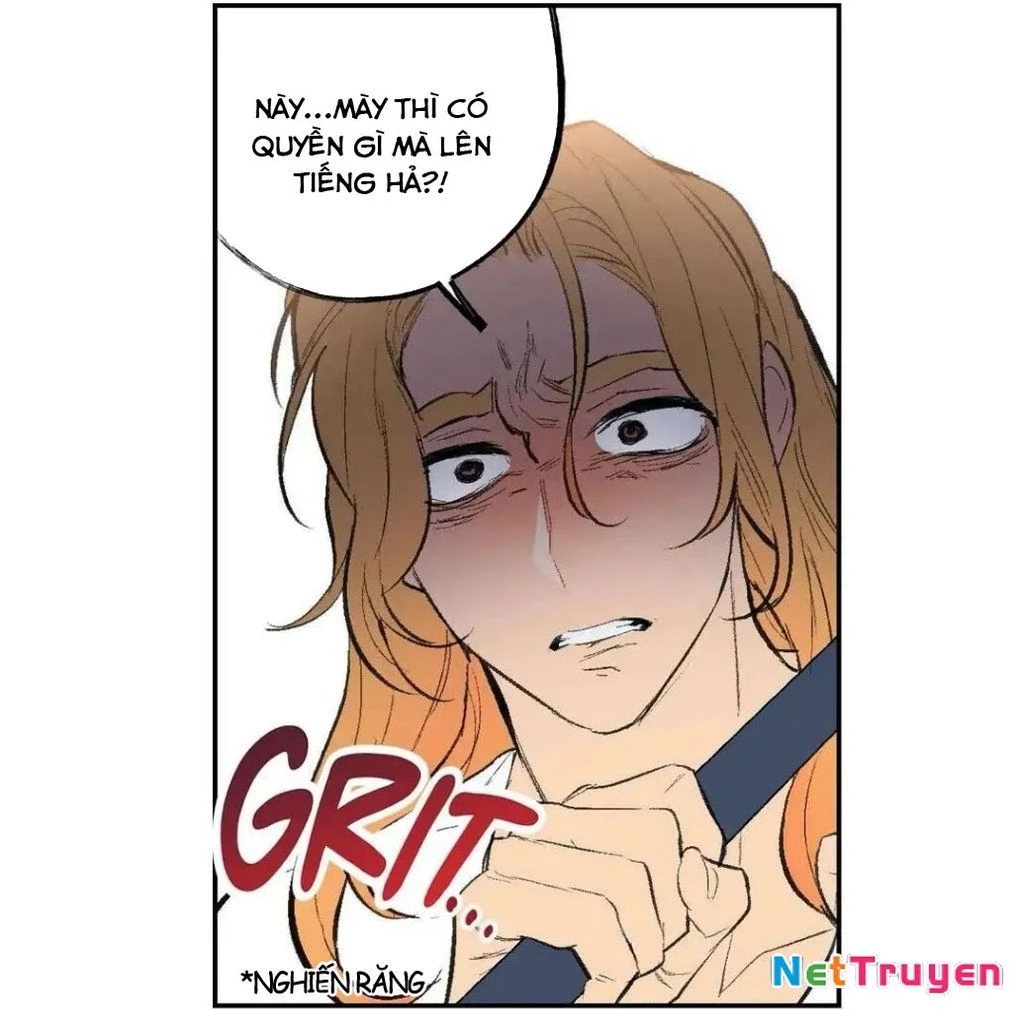 Liên Minh Bí Mật Chapter 40 - Trang 47