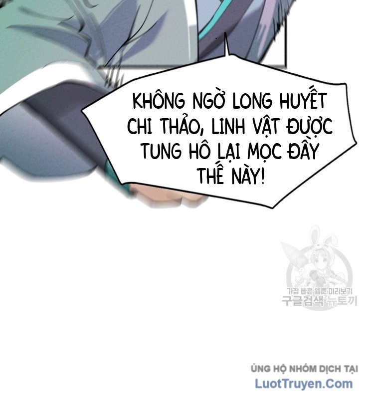 Linh Cấp Võ Giả Không Muốn Thăng Cấp Chapter 1 - Trang 27