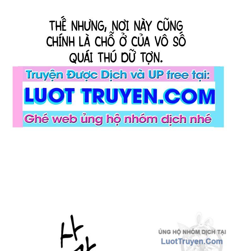 Linh Cấp Võ Giả Không Muốn Thăng Cấp Chapter 1 - Trang 7