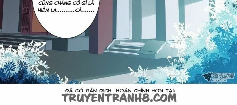 Linh Khế Chapter 19 - Trang 5