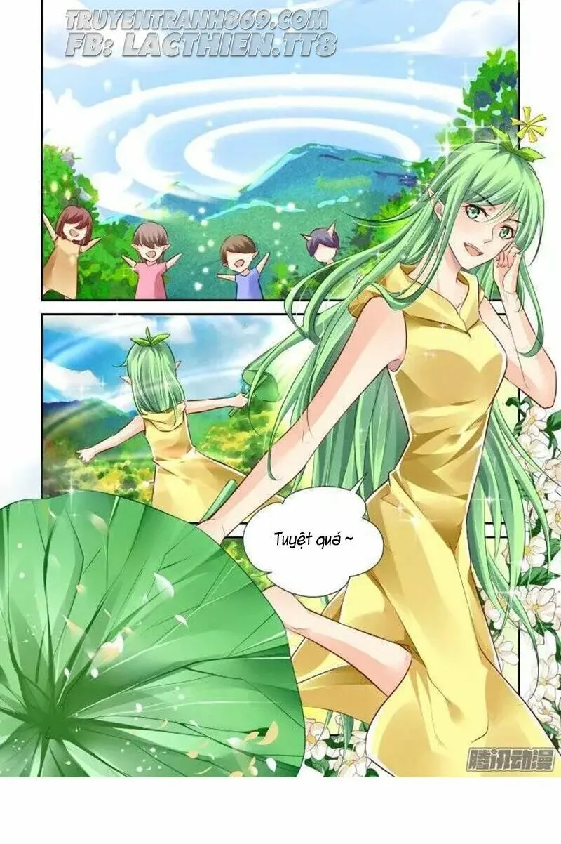 Linh Khế Chapter 216 - Trang 4