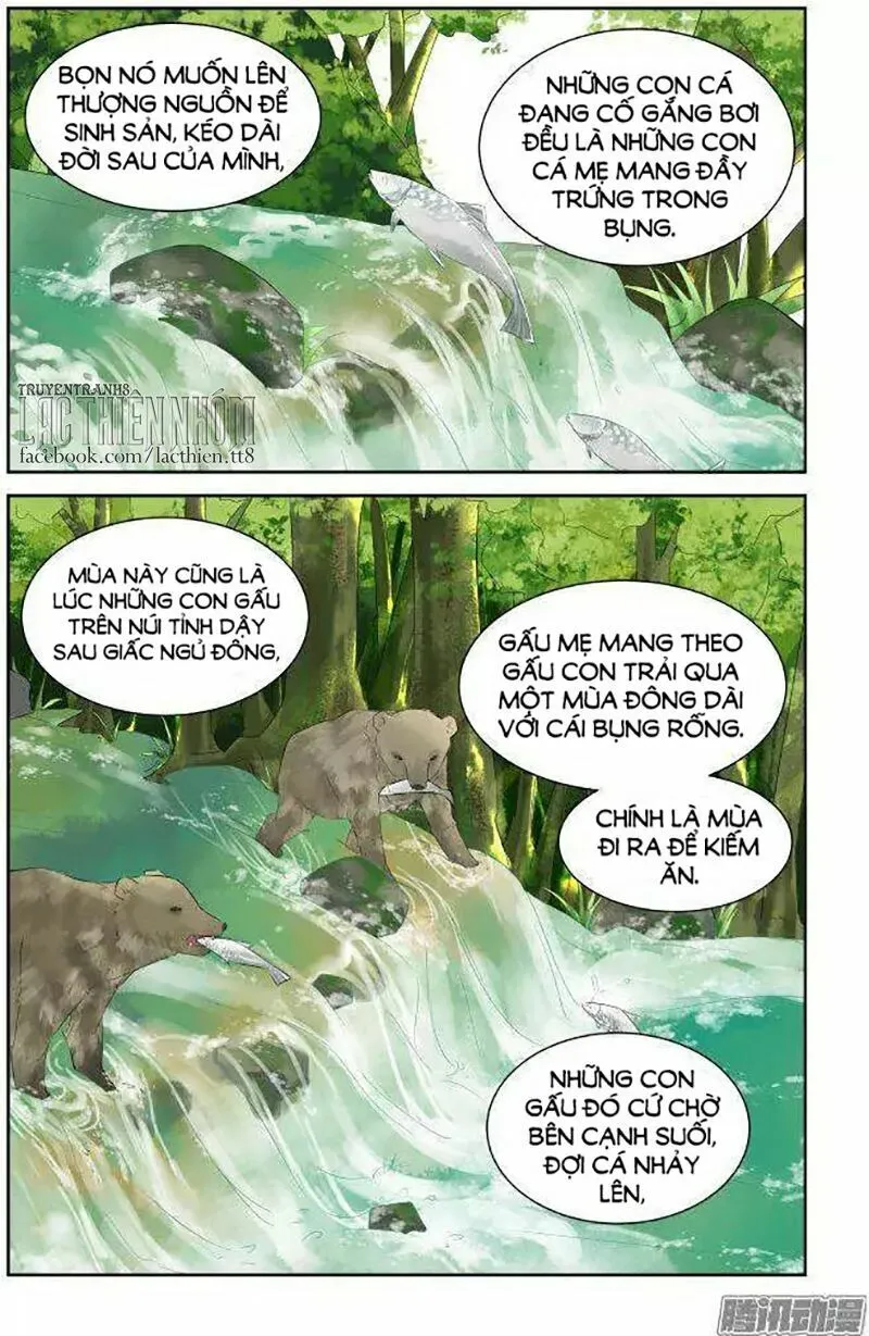 Linh Khế Chapter 228 - Trang 12