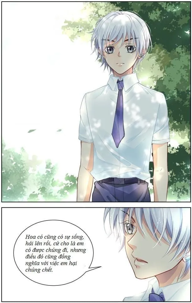 Linh Khế Chapter 288 - Trang 12